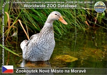 wzd_01467