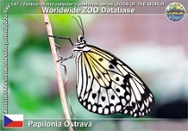 wzd_01469