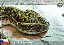 wzd_01472
