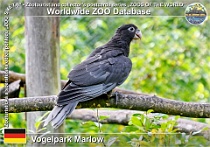 wzd_01477