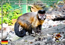 wzd_01478