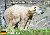wzd_01479