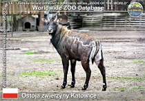 wzd_01482