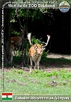 wzd_01487