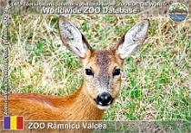 wzd_01491