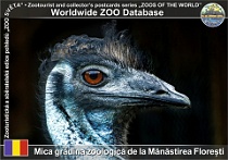 wzd_01492