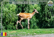 wzd_01493