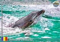 wzd_01496