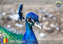 wzd_01498