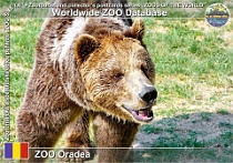 wzd_01500