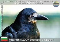 wzd_01505