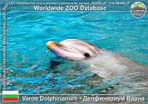 wzd_01506