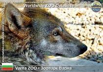 wzd_01508