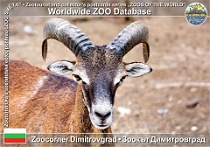 wzd_01511