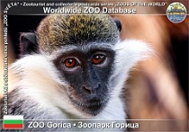 wzd_01512