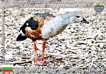 wzd_01514