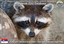 wzd_01517