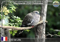 wzd_01519