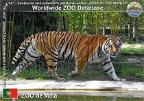 wzd_01524