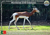 wzd_01526