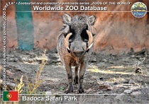 wzd_01528