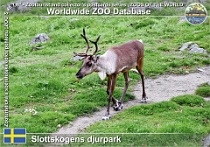 wzd_01531