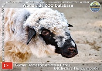 wzd_01534
