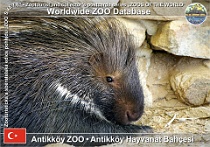 wzd_01540
