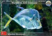 wzd_01542
