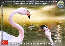 wzd_01544