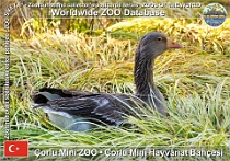 wzd_01546