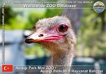 wzd_01548