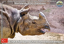 wzd_01551