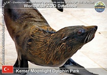 wzd_01556