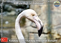 wzd_01558