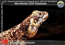 wzd_01560