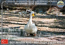 wzd_01561