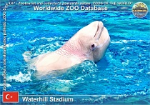 wzd_01564