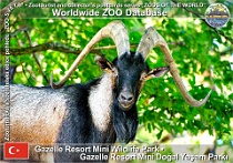 wzd_01565