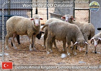 wzd_01566