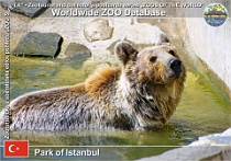 wzd_01568