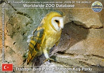 wzd_01572
