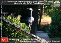 wzd_01575