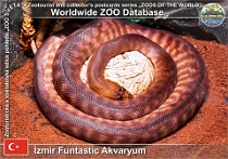 wzd_01576