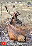 wzd_01580