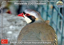 wzd_01589