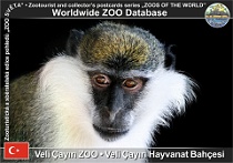 wzd_01591