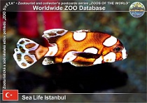 wzd_01593