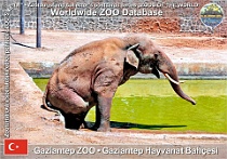 wzd_01598
