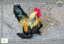 wzd_01601